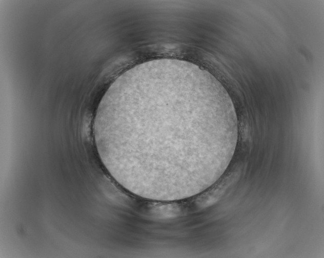 X0000111350185200908071140