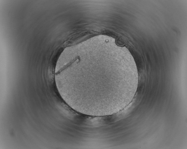 X0000111350186200908071140