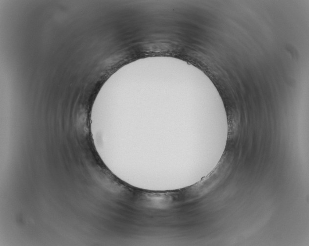 X0000111350187200908071140