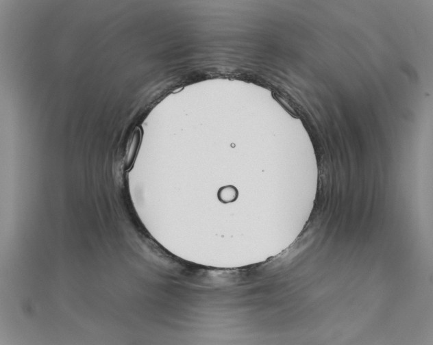 X0000111350188200908071140
