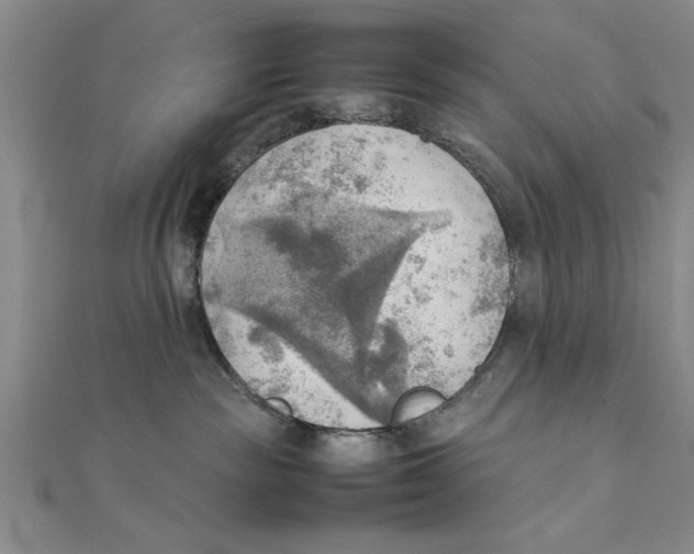 X0000111350189200908071140