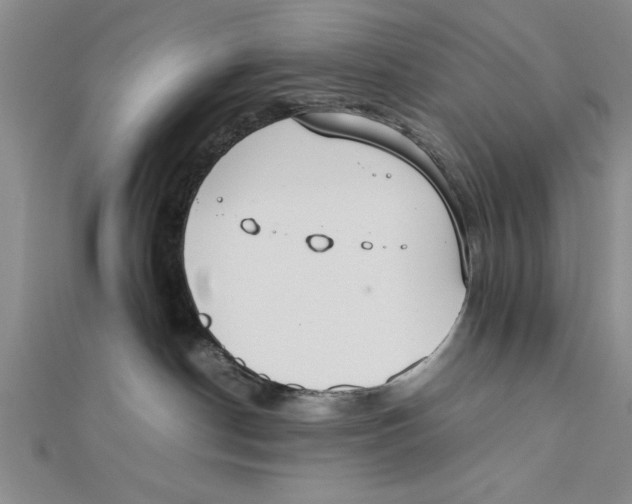 X0000111350190200908071140