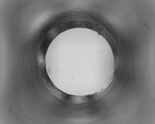 X0000111350191200908071140