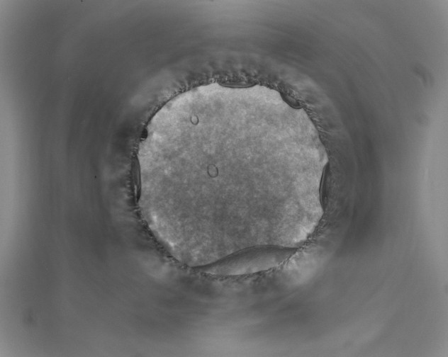 X0000111350192200908071140
