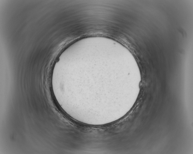X0000111350193200908071140