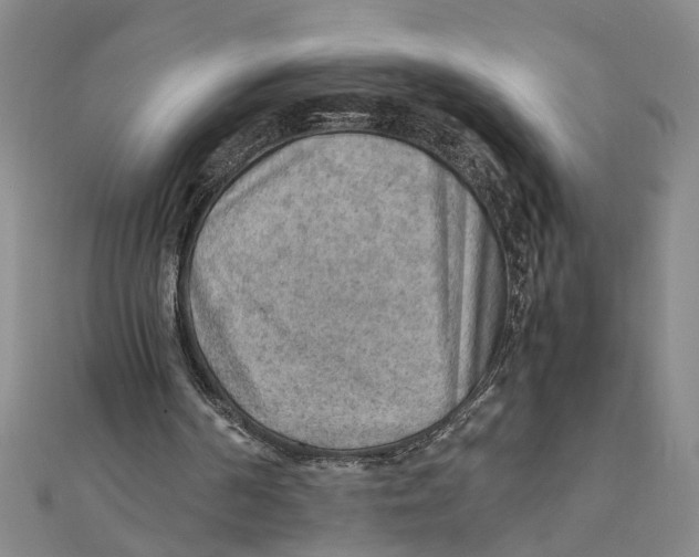 X0000111350194200908071140