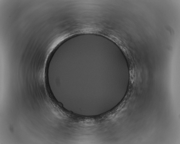 X0000111350196200908071140