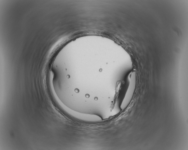 X0000111350197200908071140