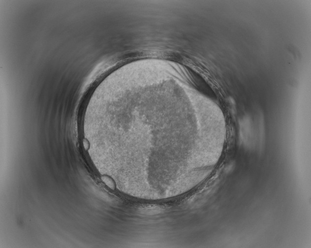 X0000111350198200908071140