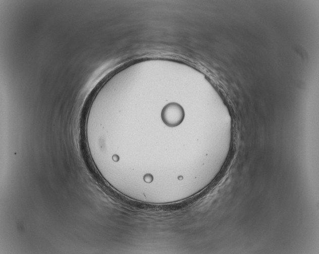 X0000111350199200908071140
