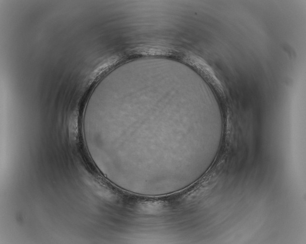 X0000111350202200908071140