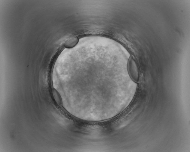 X0000111350203200908071140