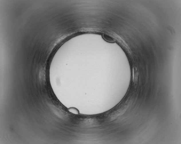 X0000111350204200908071140