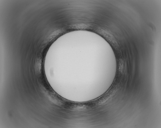 X0000111350206200908071140