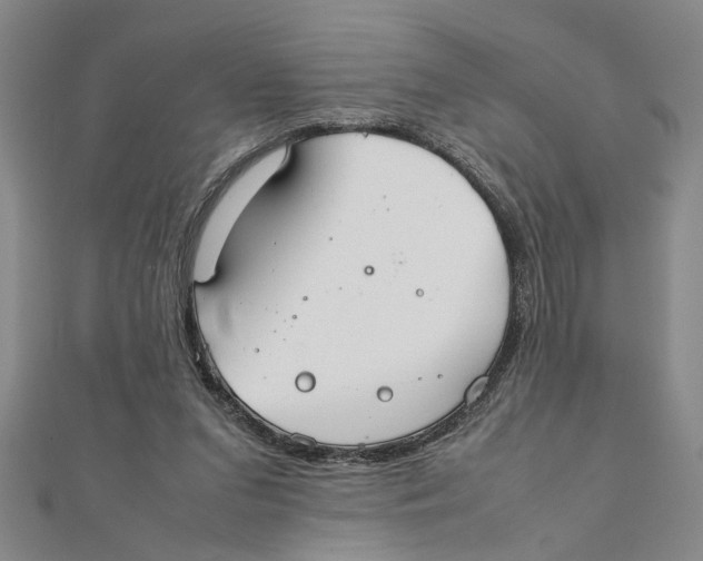 X0000111350207200908071140