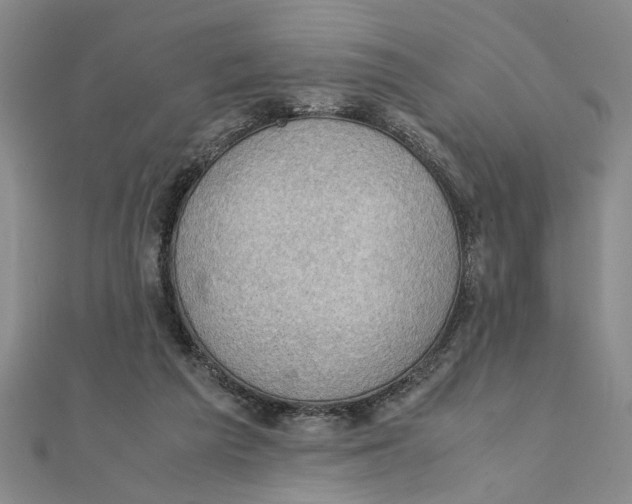 X0000111350209200908071140