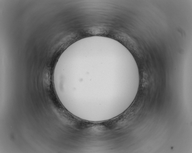 X0000111350210200908071140