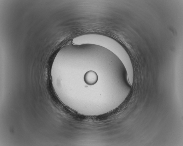 X0000111350211200908071139