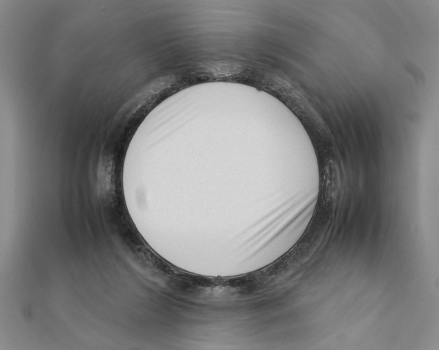 X0000111350212200908071139