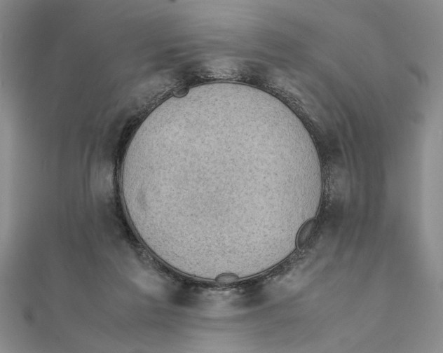 X0000111350213200908071139