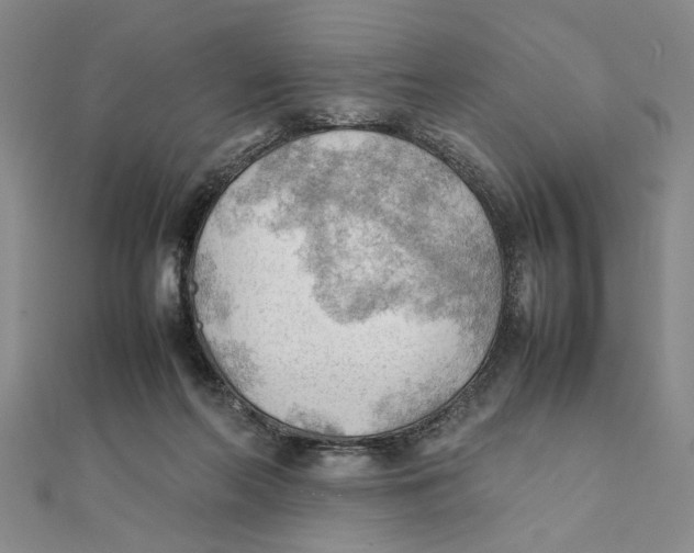 X0000111350214200908071139