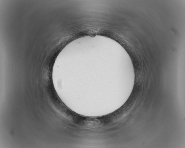 X0000111350215200908071139