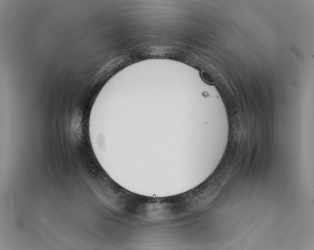 X0000111350216200908071139