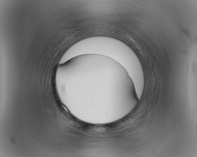 X0000111350217200908071139