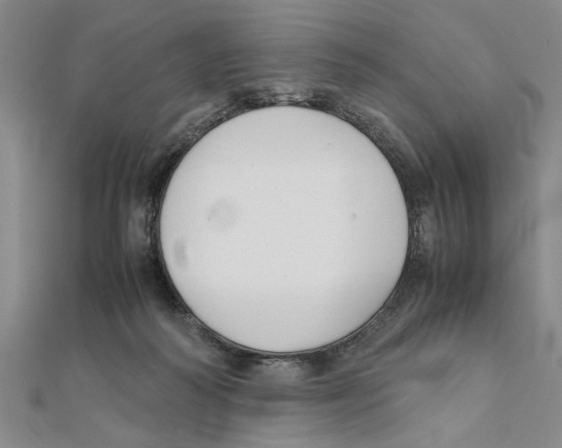 X0000111350218200908071139