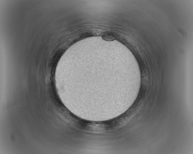 X0000111350221200908071139