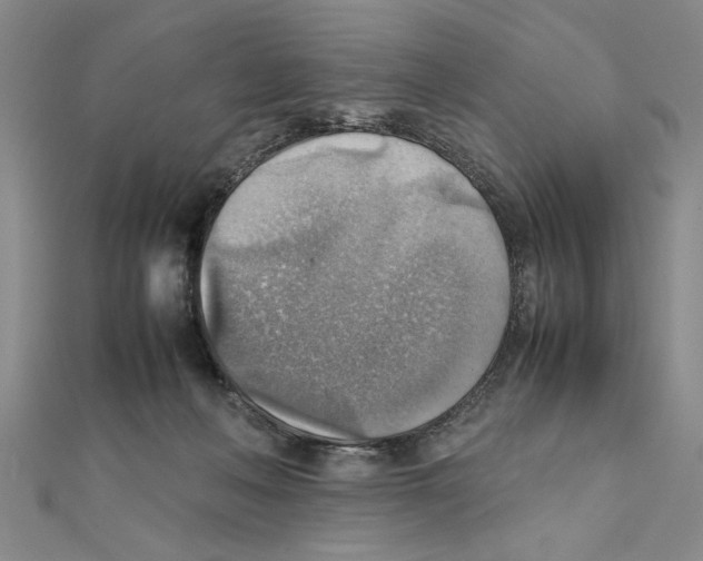 X0000111350222200908071139