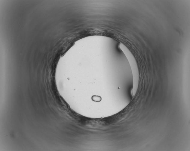 X0000111350223200908071139