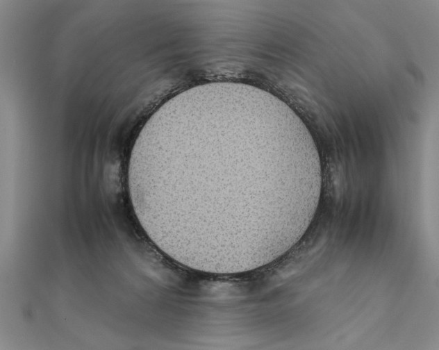 X0000111350224200908071139
