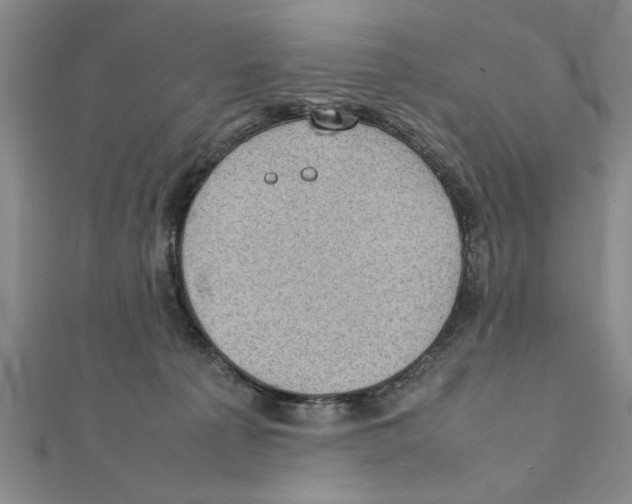 X0000111350225200908071139
