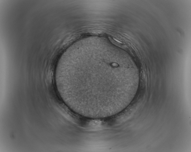 X0000111350227200908071139