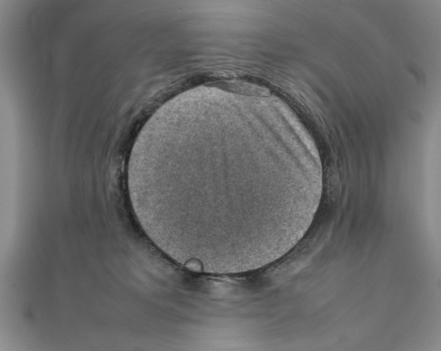 X0000111350229200908071139