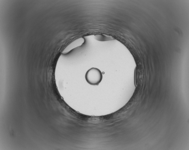 X0000111350231200908071139