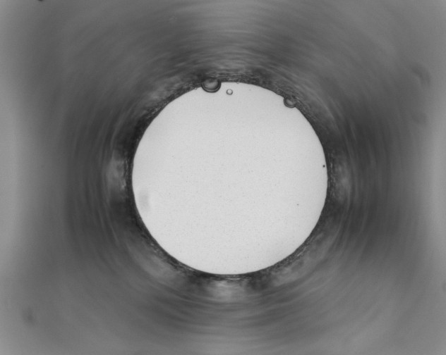 X0000111350232200908071139
