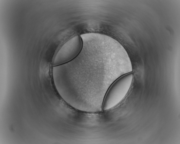 X0000111350233200908071139
