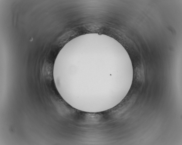 X0000111350234200908071139