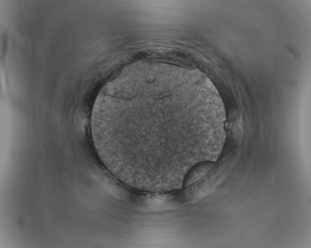 X0000111350235200908071139