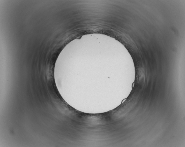 X0000111350236200908071139