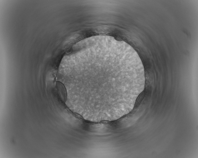 X0000111350237200908071139