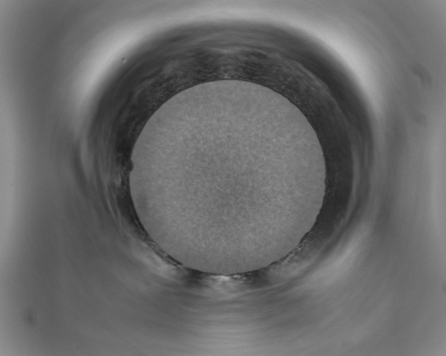 X0000111350239200908071139