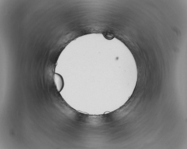 X0000111350240200908071139
