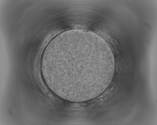 X0000111350241200908071139