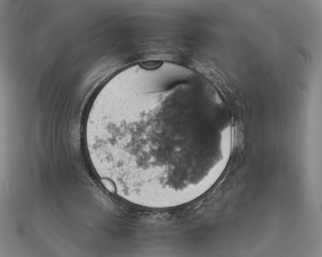 X0000111350243200908071139