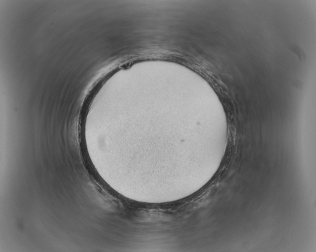 X0000111350244200908071139