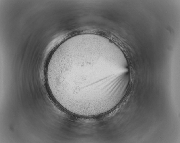 X0000111350245200908071139