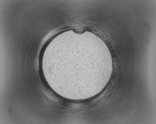 X0000111350246200908071139
